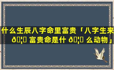 什么生辰八字命里富贵「八字生来 🦅 富贵命是什 🦄 么动物」